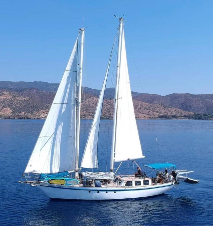 Fantastico Velero En Barcelona Hotel Sant Adrià de Besòs Eksteriør billede